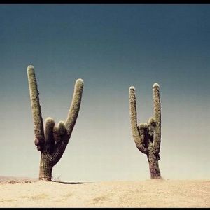 Meet your Posher, Cate